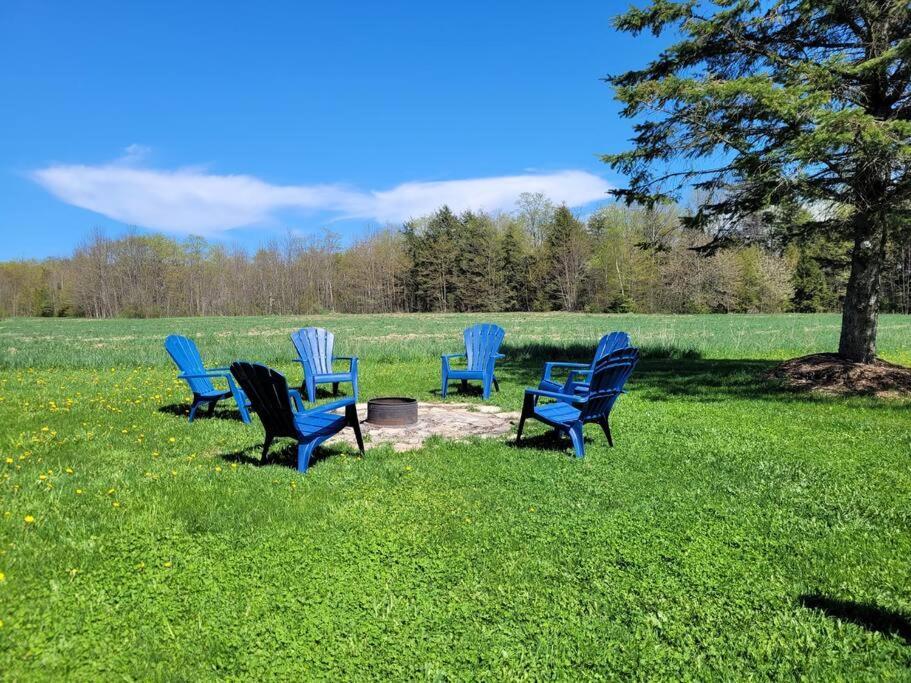 Family Friendly Cottage ☆Walking Distance To Beach Lions Head Exterior photo