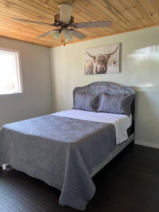 Family Friendly Cottage ☆Walking Distance To Beach Lions Head Exterior photo
